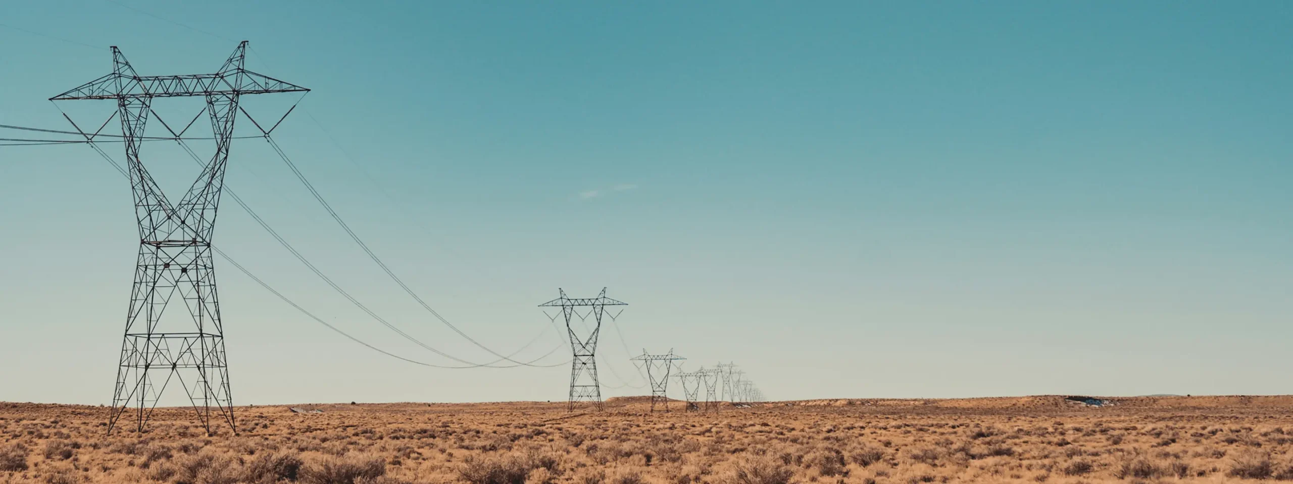 Nevada Cogeneration Associates #2